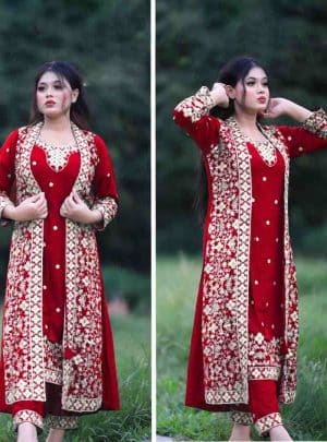 Semi –Embroidery & Sequence Work Party Dress